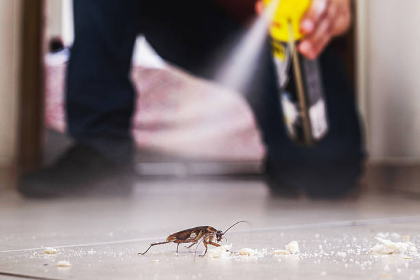 Trusted Forestville, OH Pest Control Experts